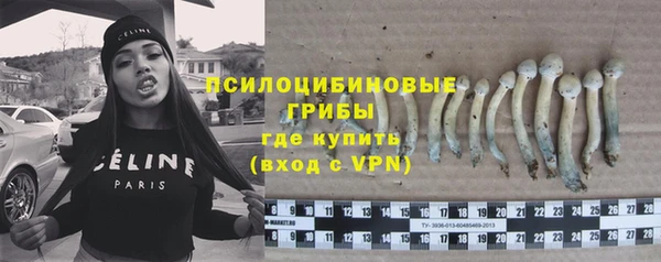 эйфоретик Козловка