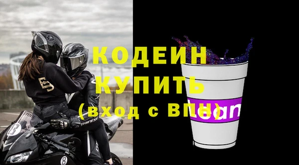 крисы Кодинск