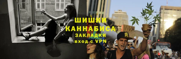 крисы Кодинск
