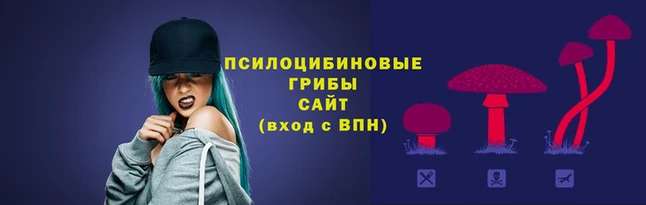 эйфоретик Козловка