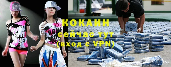 крисы Кодинск