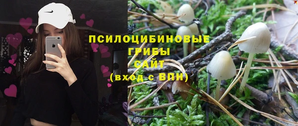 эйфоретик Козловка