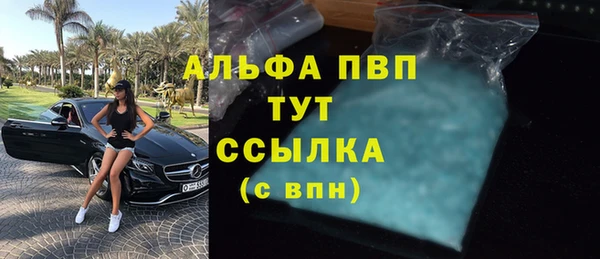 крисы Кодинск